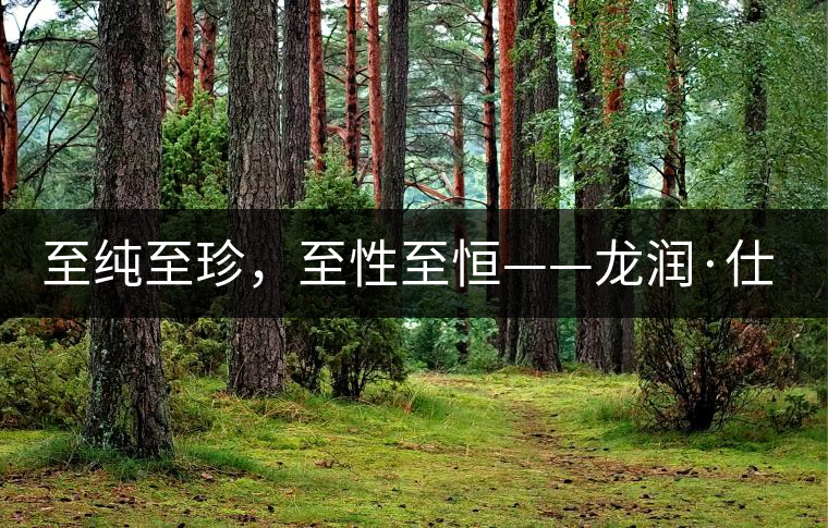 至純至珍，至性至恒——龍潤(rùn)·仕通茶新上市！