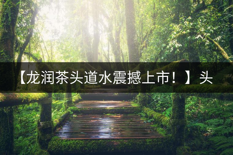 【龍潤茶頭道水震撼上市！】頭道水，二道茶，三道四道是精華！