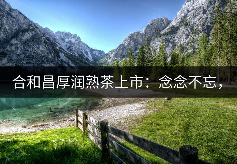 合和昌厚潤熟茶上市：念念不忘，必有回響！