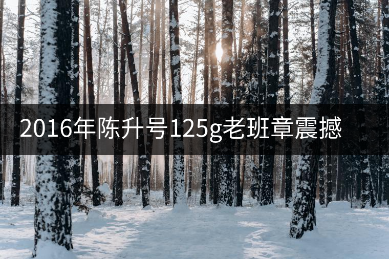2016年陳升號125g老班章震撼上市 2016年陳升號125g老班章震撼上市