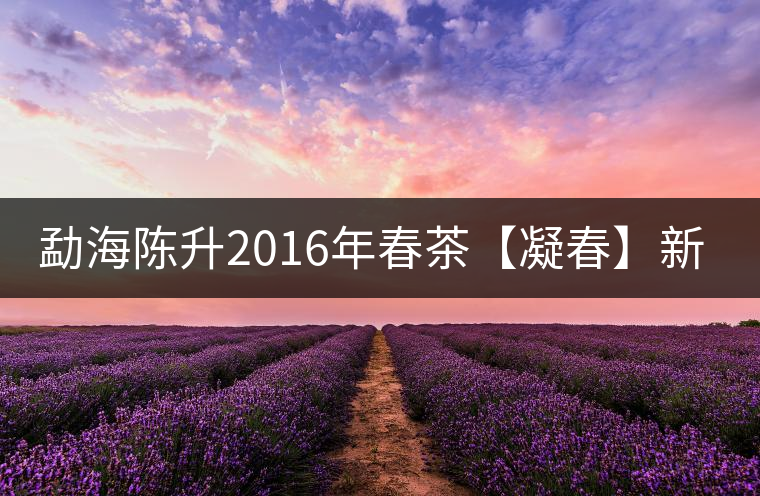 勐海陳升2016年春茶【凝春】新品上市 勐海陳升2016年春茶【凝春】新品上市
