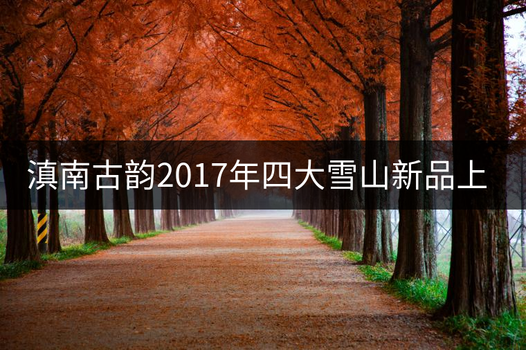 滇南古韻2017年四大雪山新品上市