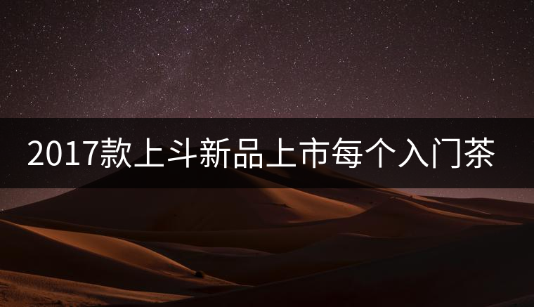 2017款上斗新品上市每個入門茶人都欠自己一餅上斗！