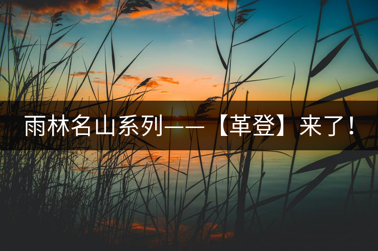 雨林名山系列——【革登】來了！