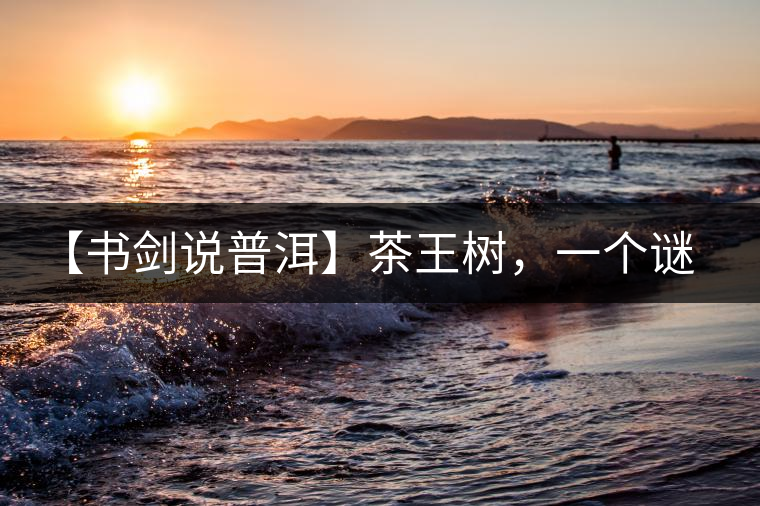 【書劍說普洱】茶王樹，一個謎一樣的地方