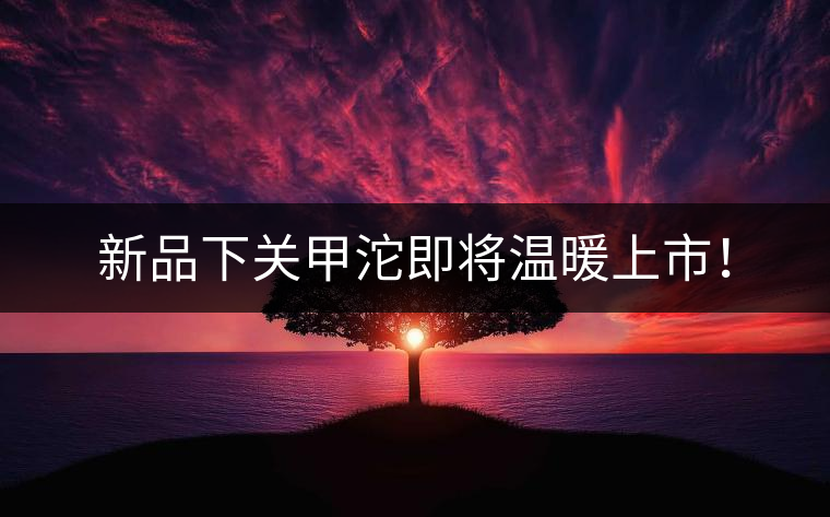 新品下關(guān)甲沱即將溫暖上市！