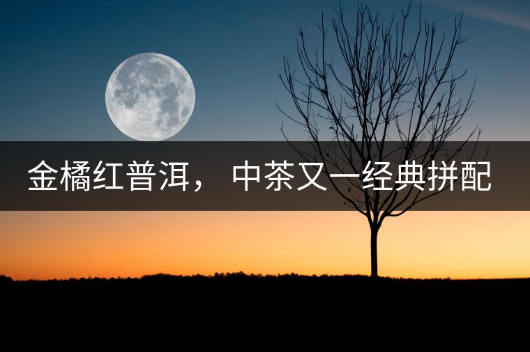 金橘紅普洱， 中茶又一經(jīng)典拼配力作，值得期待！