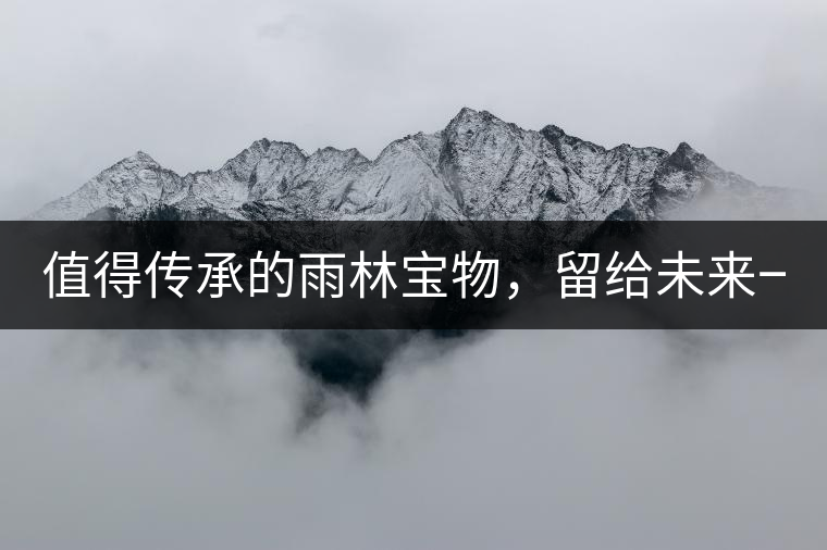 值得傳承的雨林寶物，留給未來一點“回甘”！