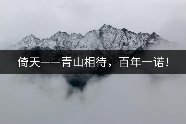 倚天——青山相待，百年一諾！