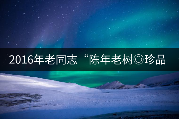 2016年老同志“陳年老樹◎珍品普洱”隆重上市！