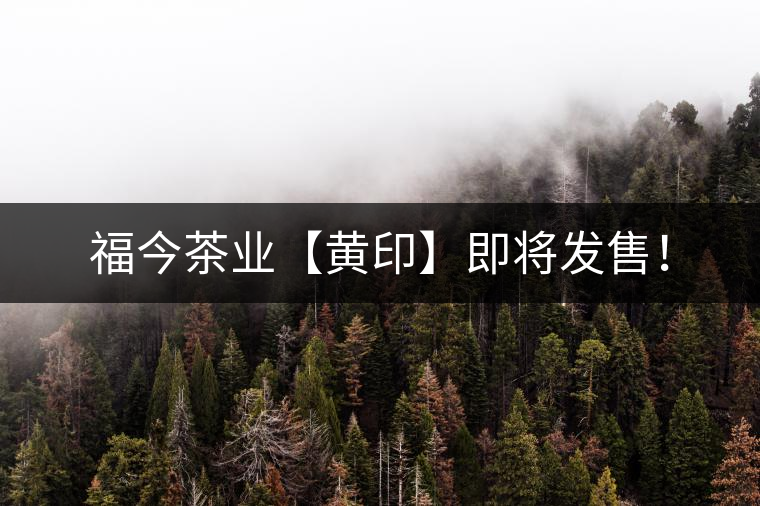 福今茶業(yè)【黃印】即將發(fā)售！