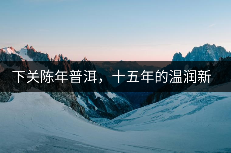 下關(guān)陳年普洱，十五年的溫潤新生