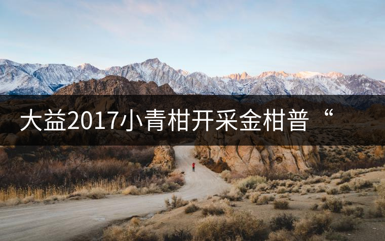 大益2017小青柑開采金柑普“益桶江山”震撼上市 大益2017小青柑開采金柑普“益桶江山”震撼上市