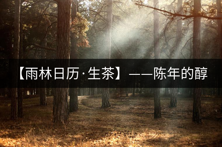 【雨林日歷·生茶】——陳年的醇，老料的香！