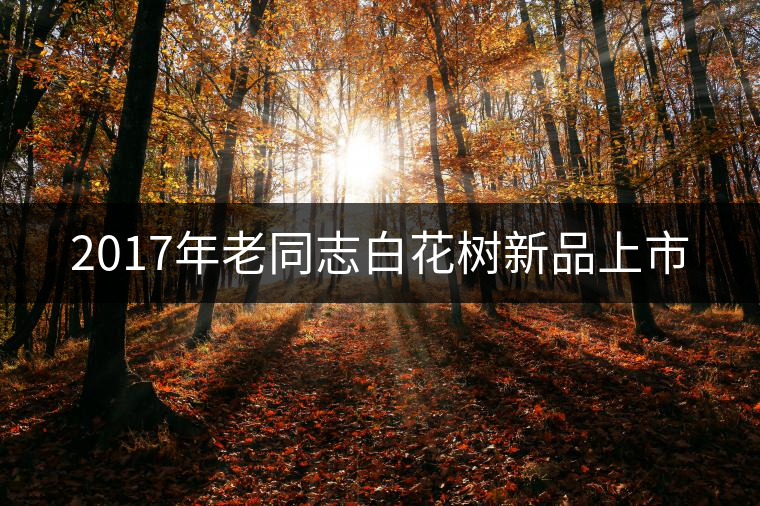 2017年老同志白花樹(shù)新品上市