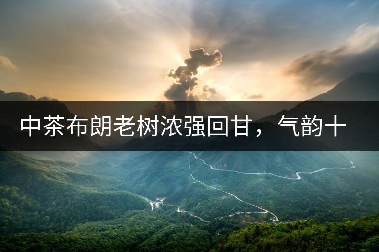 中茶布朗老樹濃強(qiáng)回甘，氣韻十足