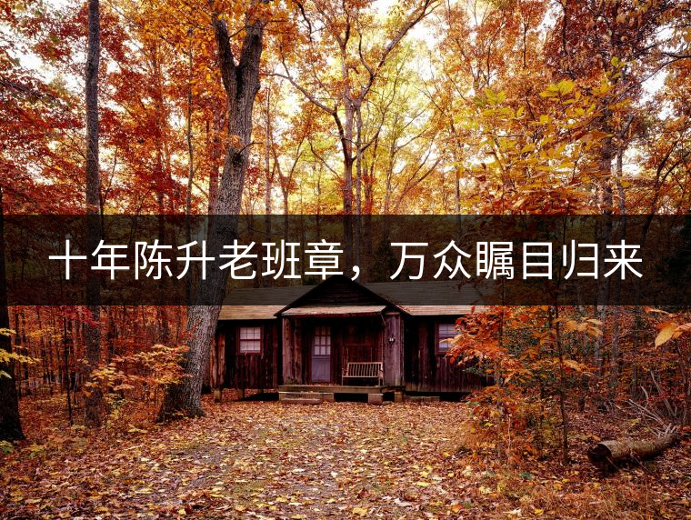 十年陳升老班章，萬(wàn)眾矚目歸來(lái)