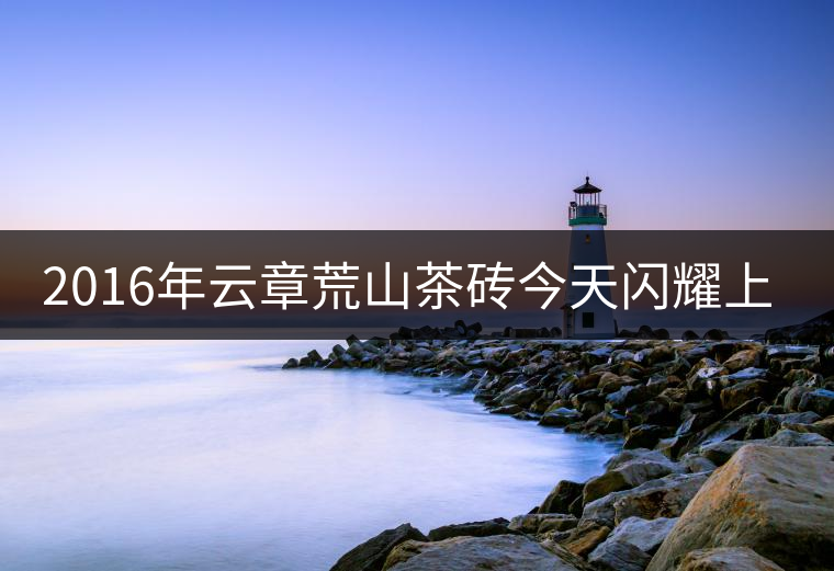 2016年云章荒山茶磚今天閃耀上市！