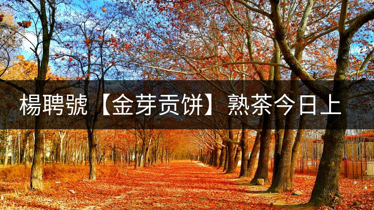 楊聘號(hào)【金芽貢餅】熟茶今日上市 楊聘號(hào)【金芽貢餅】熟茶今日上市