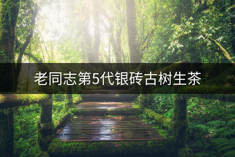 老同志第5代銀磚古樹(shù)生茶 老同志第5代銀磚古樹(shù)生茶