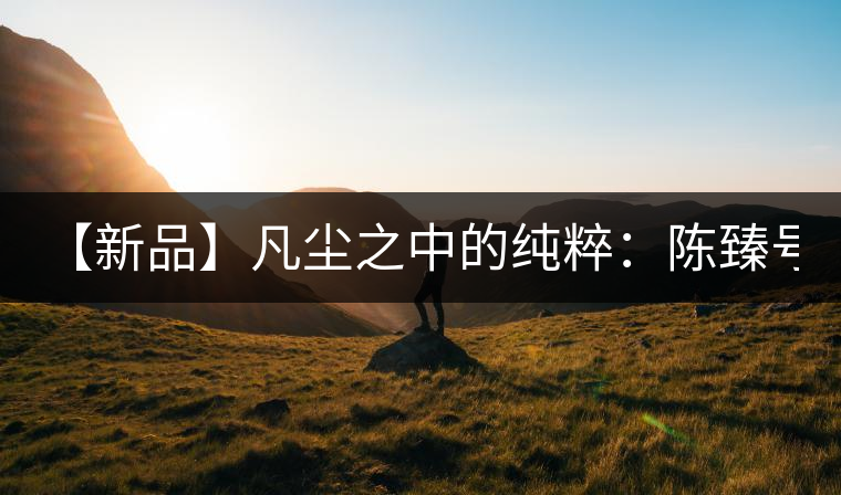 【新品】凡塵之中的純粹：陳臻號2016年精品青餅即將上市！