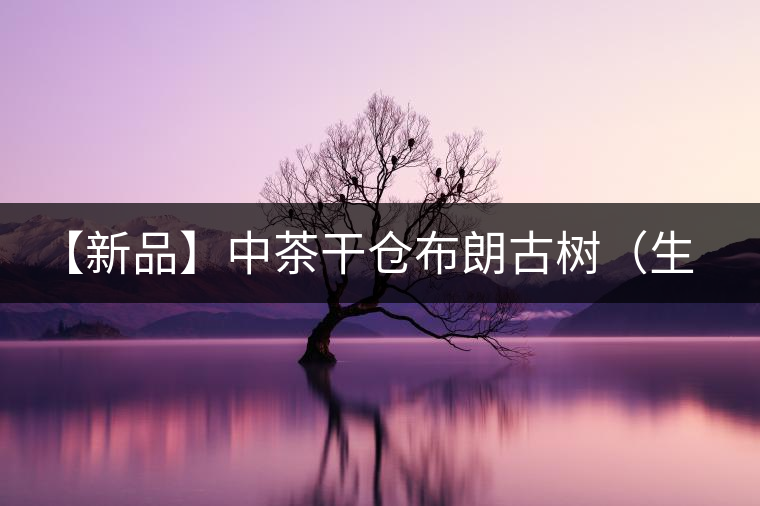【新品】中茶干倉布朗古樹(生茶)—(電商專供) 上市 【新品】中茶干倉布朗古樹(生茶)—(電商專供) 上市