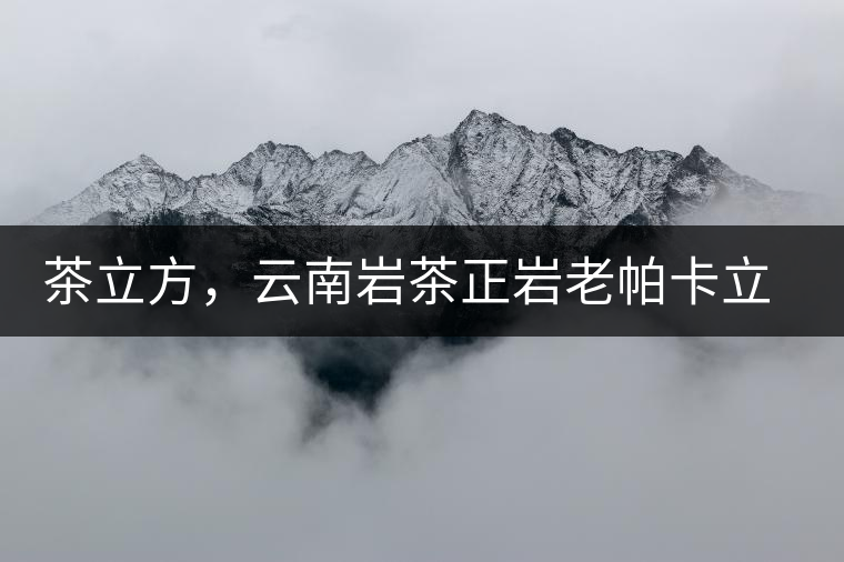 茶立方，云南巖茶正巖老帕卡立方磚今日芳香出爐