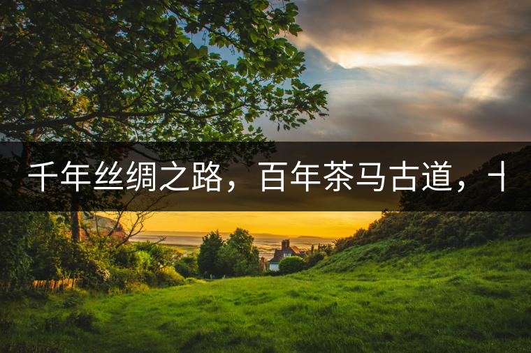 千年絲綢之路，百年茶馬古道，十年尋茶之旅，鑄造Puertea（十年紀(jì)念茶）