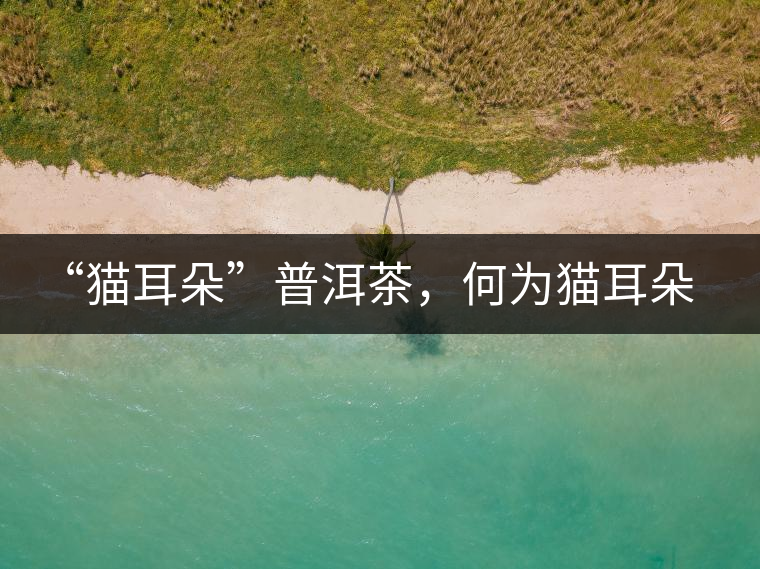 “貓耳朵”普洱茶，何為貓耳朵？