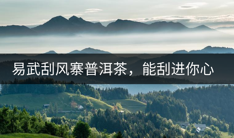 易武刮風(fēng)寨普洱茶，能刮進你心中的一道風(fēng)