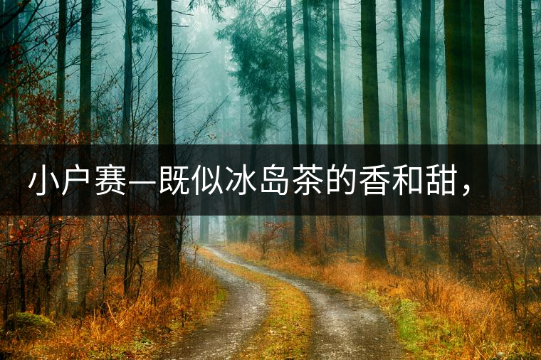 小戶賽—既似冰島茶的香和甜，又有其獨特的純和凈