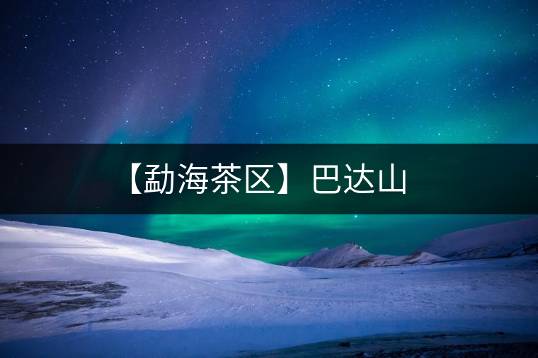 【勐海茶區(qū)】巴達(dá)山