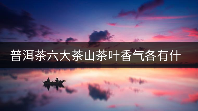 普洱茶六大茶山茶葉香氣各有什么特點(diǎn)？
