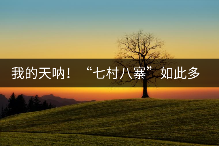 我的天吶！“七村八寨”如此多的易武茶，品質特色如何分辨？