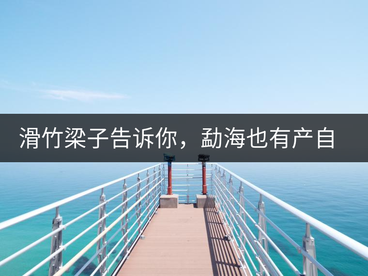 滑竹梁子告訴你，勐海也有產自國有林里的好茶！