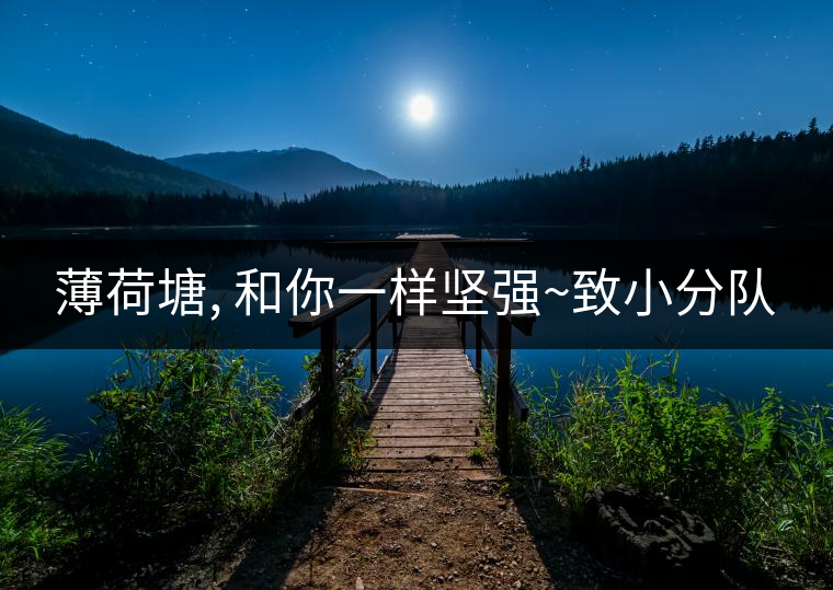 薄荷塘, 和你一樣堅強~致小分隊