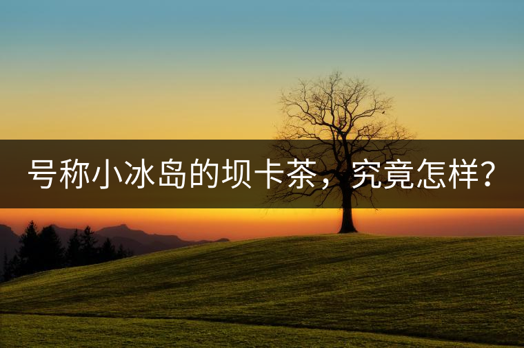 號(hào)稱小冰島的壩卡茶，究竟怎樣？