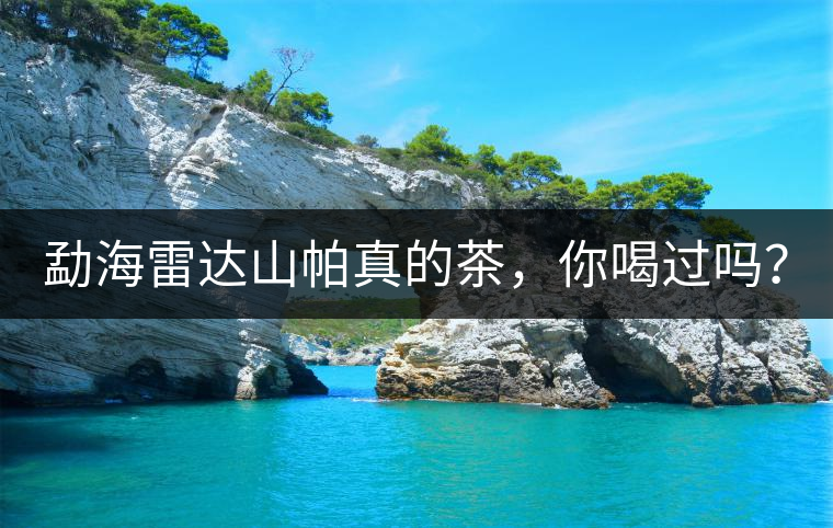 勐海雷達(dá)山帕真的茶，你喝過(guò)嗎？