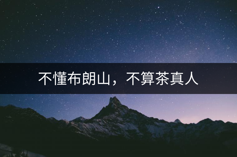 不懂布朗山，不算茶真人