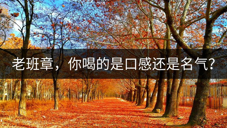 老班章，你喝的是口感還是名氣？