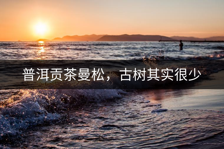 普洱貢茶曼松，古樹其實(shí)很少