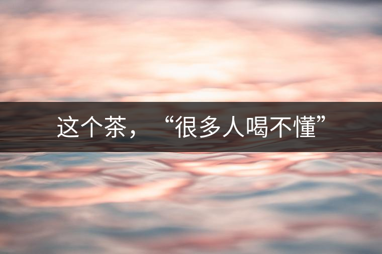 這個茶，“很多人喝不懂”