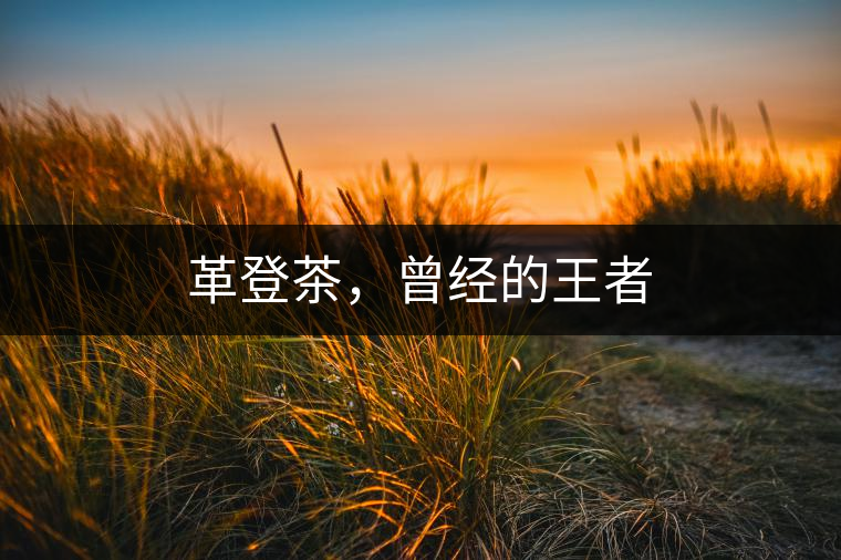 革登茶，曾經(jīng)的王者