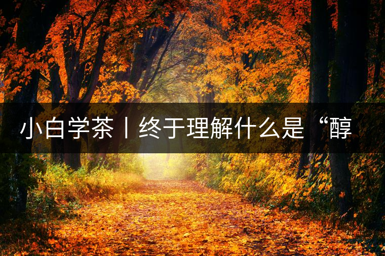 小白學(xué)茶丨終于理解什么是“醇厚、耐泡，回甘”了