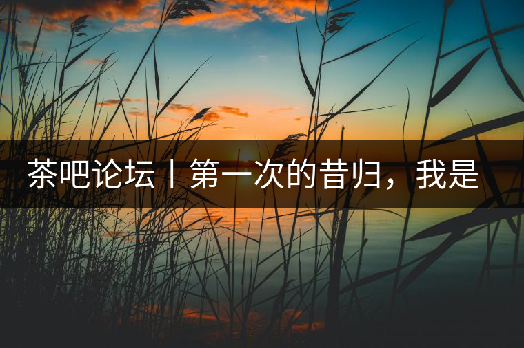 茶吧論壇丨第一次的昔歸，我是這樣喝到的