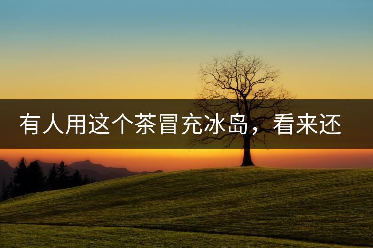 有人用這個茶冒充冰島，看來還是有幾分道理