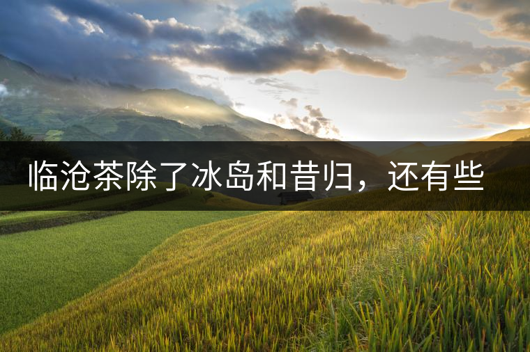 臨滄茶除了冰島和昔歸，還有些什么？