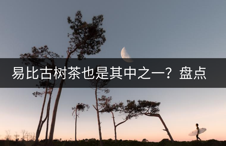 易比古樹(shù)茶也是其中之一？盤(pán)點(diǎn)當(dāng)下易武最火的十大古樹(shù)茶！