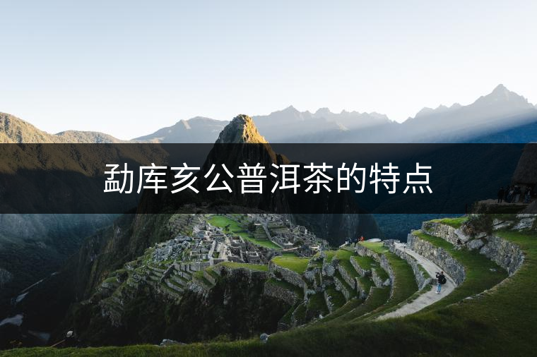 勐庫(kù)亥公普洱茶的特點(diǎn) 勐庫(kù)亥公普洱茶的特點(diǎn)