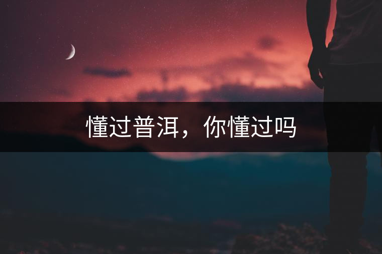 懂過(guò)普洱，你懂過(guò)嗎